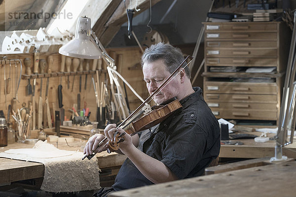 Arbeiter  der in der Werkstatt Geige spielt und testet
