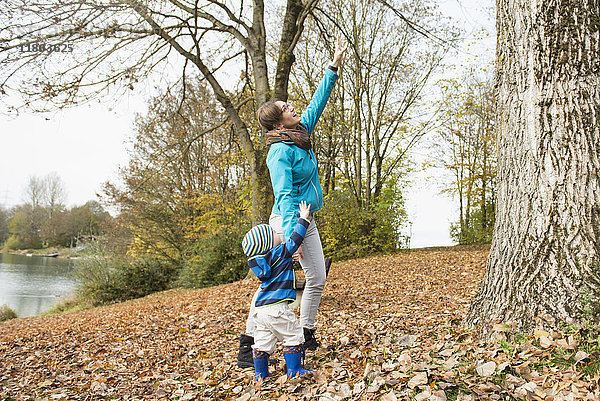 Mutter und Sohn versuchen  die Äste eines großen Baumes in einer Herbstlandschaft zu erreichen