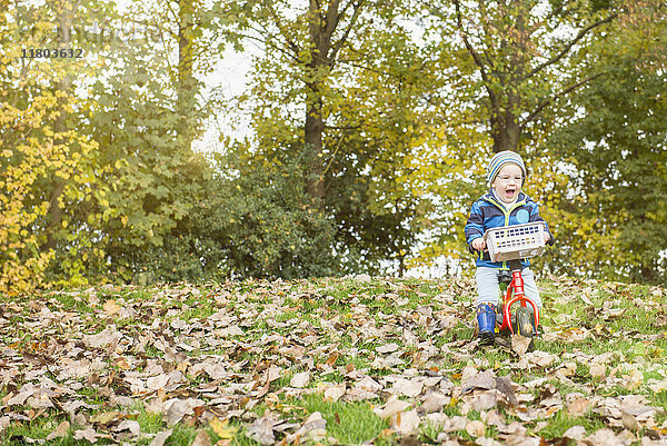 Kleiner Junge fährt mit seinem Laufrad über grasbewachsene Herbstblätter