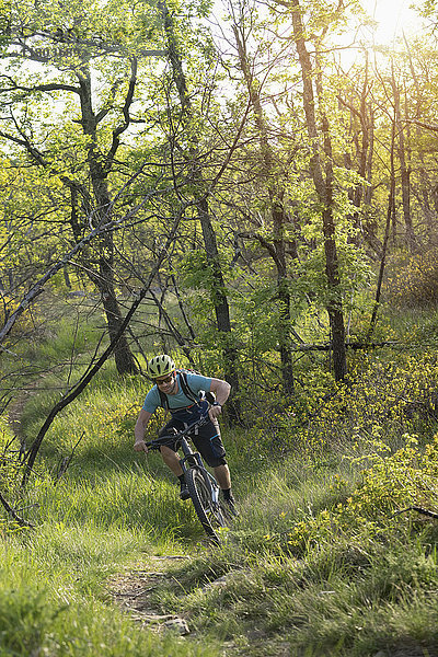 Älterer Mann fährt mit dem Mountainbike durch den Wald