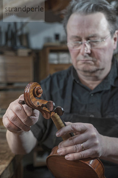Handwerker in der Werkstatt  der eine Geige untersucht