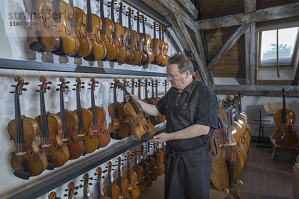 Geigenbauer mit Geige in der Werkstatt