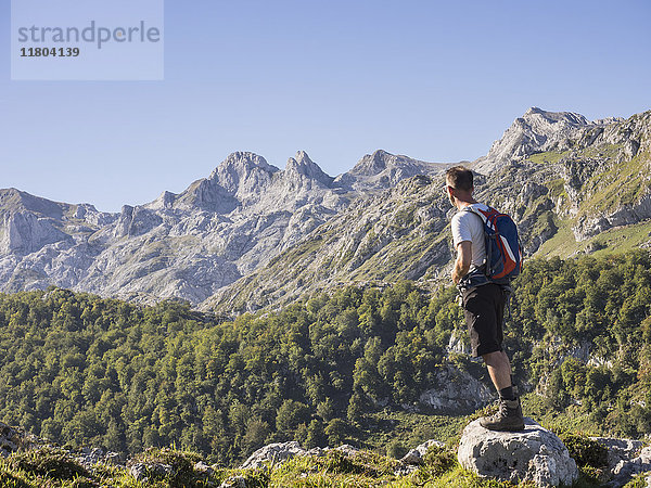 Mann auf Wandertour in den Picos de Europa bei Covadonga  Asturien  Nordspanien