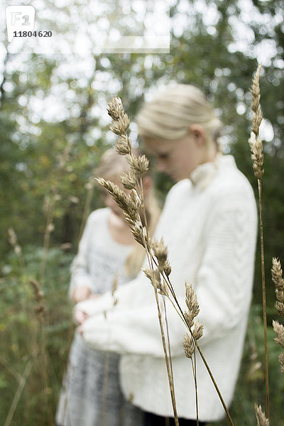 Gras  Mädchen im Hintergrund