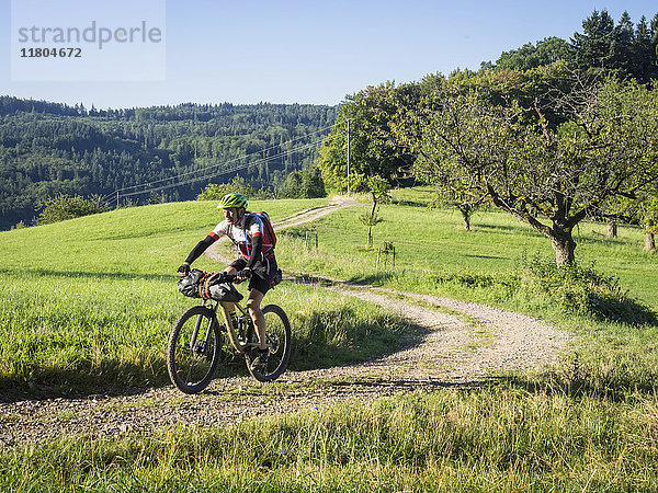 Mountainbiker fährt auf einem Feldweg entlang einer Wiese im Wald