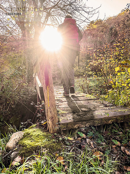 Mann beim Überqueren einer Holzbrücke während einer Wanderung in den Picos de Europa in der Nähe des Dorfes Potes  Kantabrien  Spanien