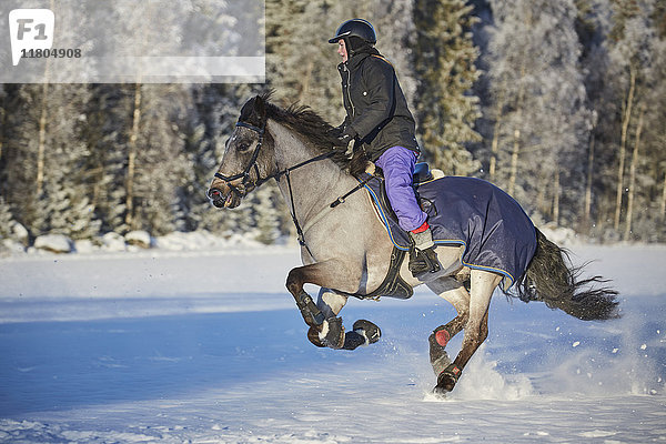 Frau reitet Pferd in Winterlandschaft