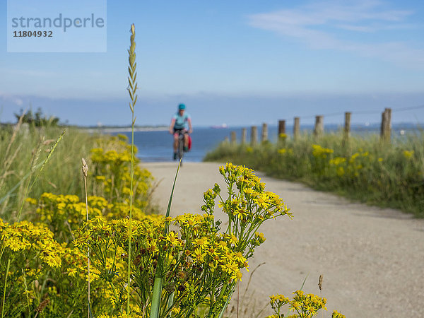 Frau fährt Fahrrad auf unbefestigtem Weg gegen das Meer