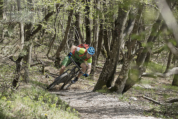 Junger Biker fährt mit dem Mountainbike durch Baumstämme im Wald