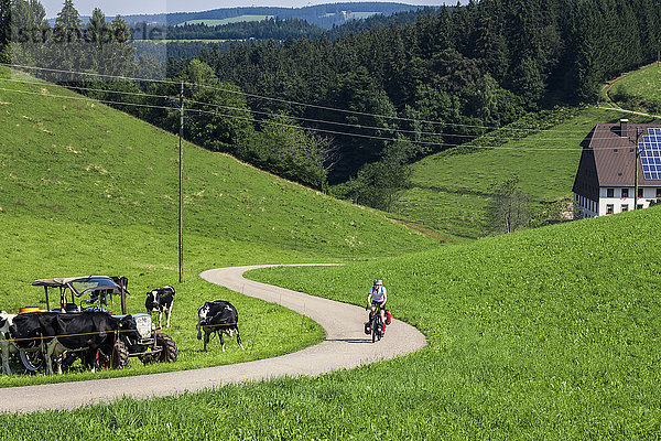 Mountainbiker fährt auf der Straße durch Grasfelder