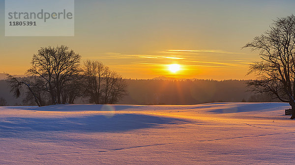 Blick auf den Sonnenuntergang und das Schneefeld