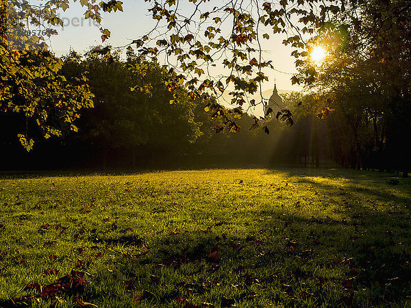 Gras im Park mit silhouettierter Kirche im Hintergrund