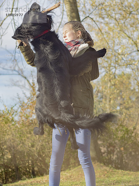 Mädchen hält Stock und Retriever springt zum Fang