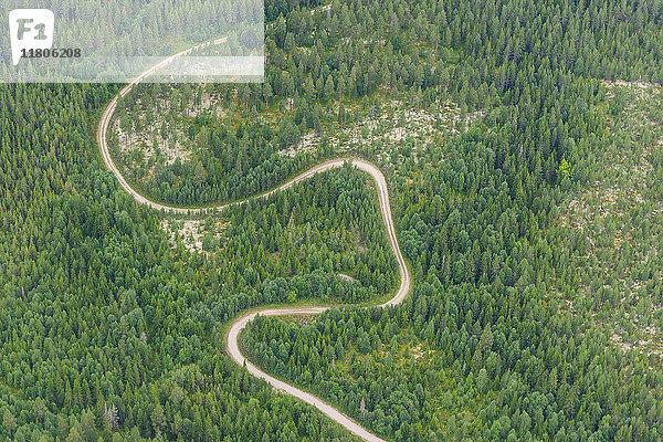 Luftaufnahme einer kurvenreichen Straße durch den Wald