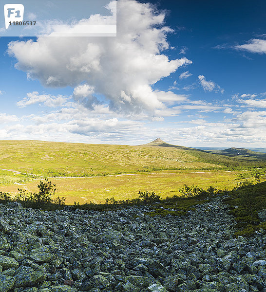 Landschaft mit felsigem Hügel