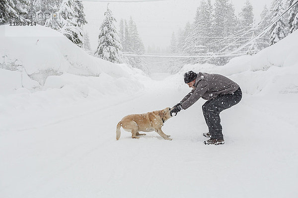 Kaukasischer Mann spielt Tauziehen mit Hund im Schnee