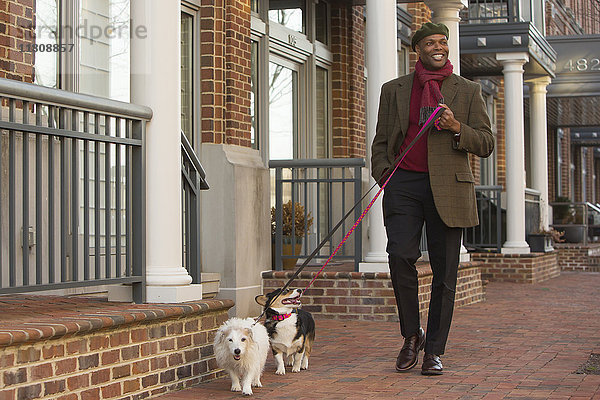 Afroamerikanischer Mann führt Hunde auf dem Bürgersteig aus