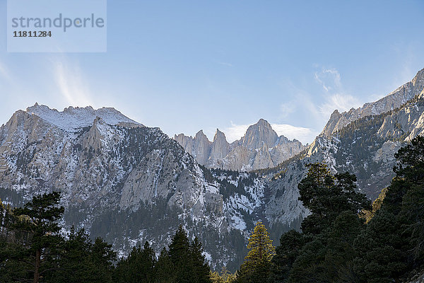 Bäume in der Nähe von Bergen