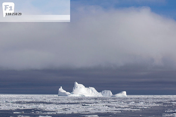 Eisberg und Eisscholle im Südlichen Ozean  180 Meilen nördlich der Ostantarktis  Antarktis