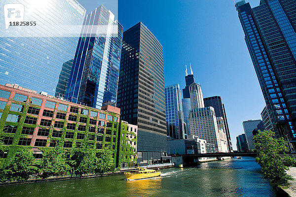 The Loop  Innenstadt von Chicago  Illinois  USA