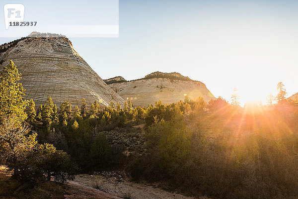 Schachbrett Mesa  Zion-Nationalpark  Springdale  Utah  USA