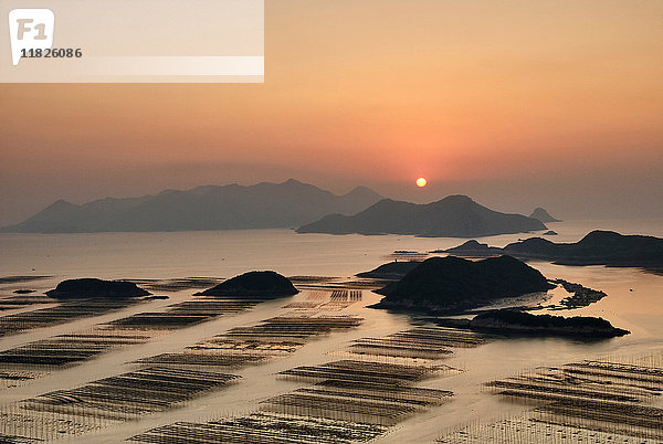 Reihen von traditionellen Angelruten bei Sonnenaufgang  Huazhu  Fujian  China