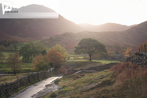 Ländliche Straße durch Little Langdale  The Lake District  UK