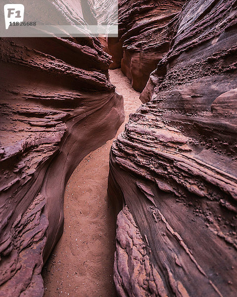 Rockgruppe  Escalante  Utah  USA