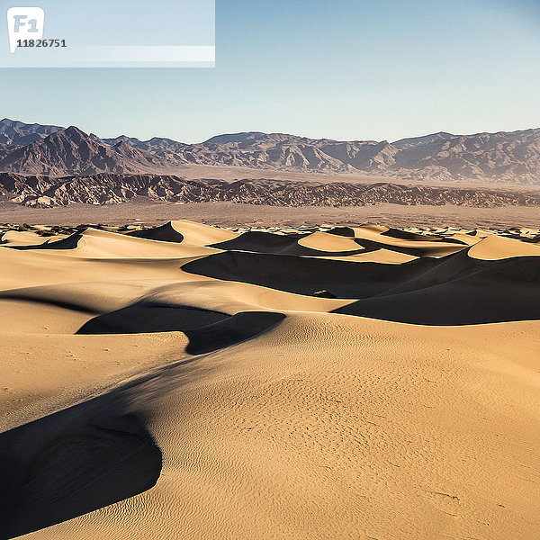 Beschattete flache Mesquite-Sanddünen im Death Valley National Park  Kalifornien  USA