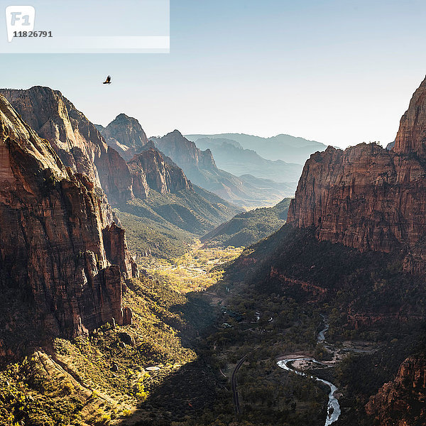 Angels Landing  Zion-Nationalpark  Springdale  Utah  USA