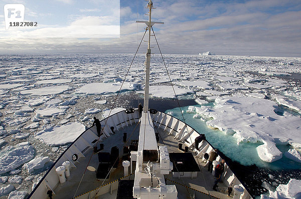Ansicht der Eisscholle im Südpolarmeer vom Schiff aus  180 Meilen nördlich der Ostantarktis  Antarktis