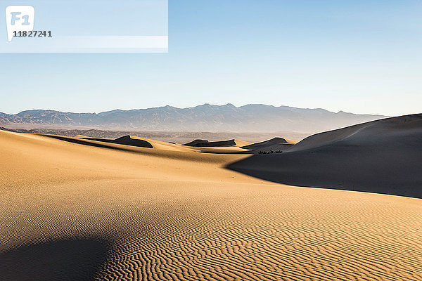 Geriffelte flache Mesquite-Sanddünen im Death Valley National Park  Kalifornien  USA