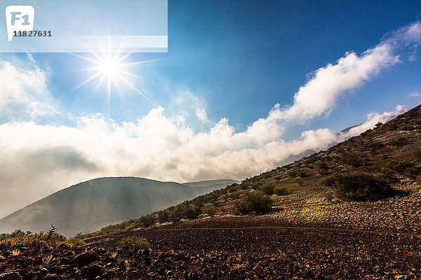 Mauna Kea  Große Insel  Hawaii  USA