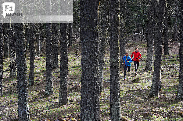 Zwei mittel-erwachsene Männer laufen im Wald