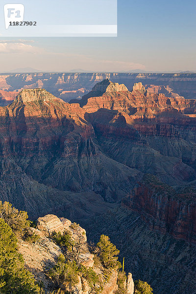 North Rim  Grand-Canyon-Nationalpark  Arizona  USA
