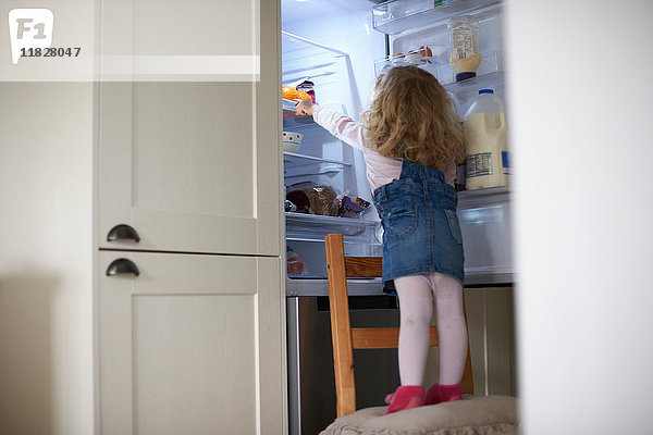 Junges Mädchen auf Stuhl stehend  in den Kühlschrank greifend  Rückansicht