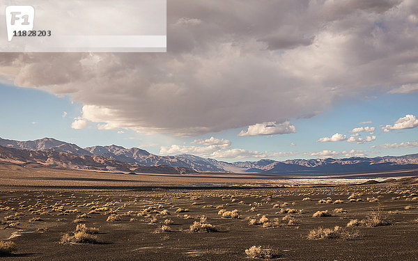 Landschaft am Ubehebe-Krater im Death Valley National Park  Kalifornien  USA