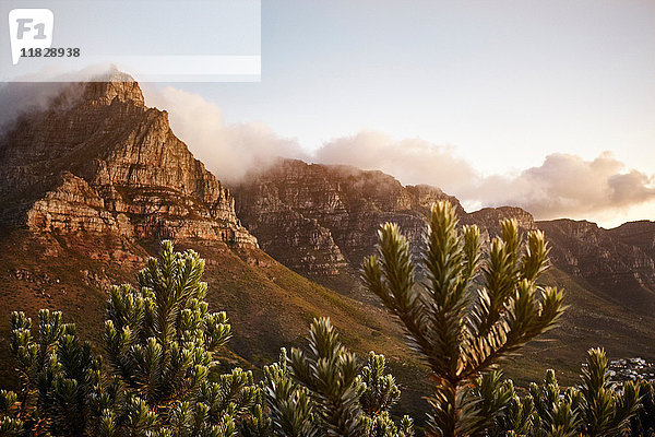 Blick vom Lions-Kopfberg zum Tafelberg  Westkap  Kapstadt  Südafrika  Afrika
