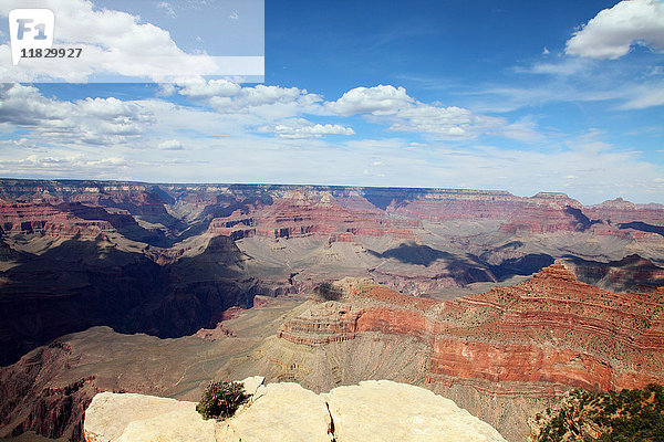 Grand Canyon von der Klippe aus gesehen