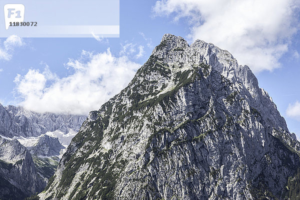 Gras wächst an verschneiten Berghängen