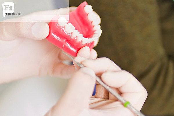 Zahnarzt untersucht Modell der Zähne