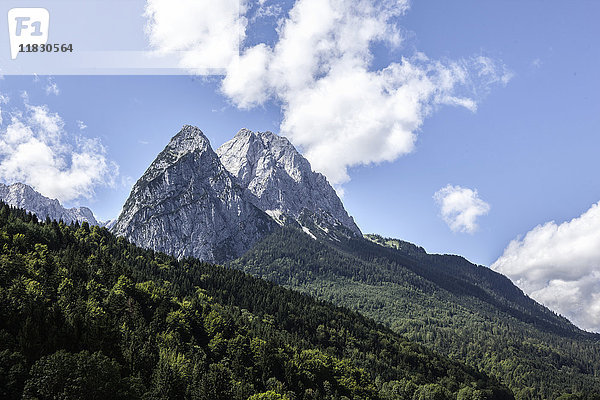 Von Wald umgebene Berge