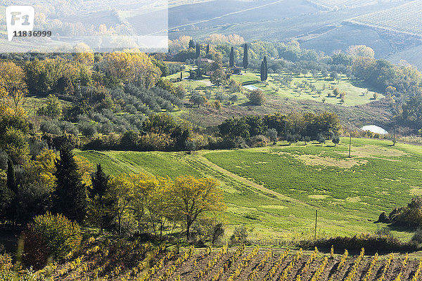 Italien  Toskana  Montepulciano  Landschaft mit Weinfeldern  Reihen von Olivenbäumen  kleinen Gebäuden  Zypressenalleen und buntem Herbstwald