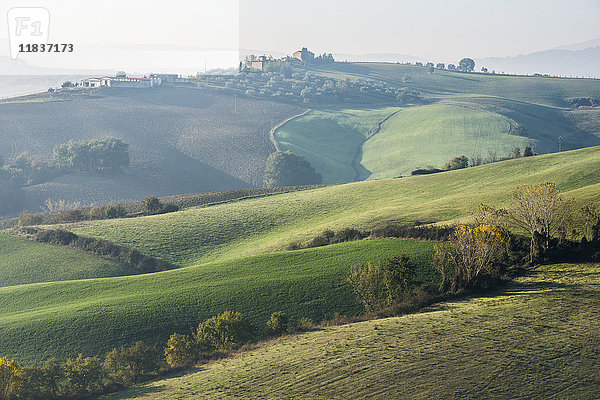 Italien  Toskana  Castiglione D'orcia  Hügellandschaft mit Herbstbäumen und Pflanzen