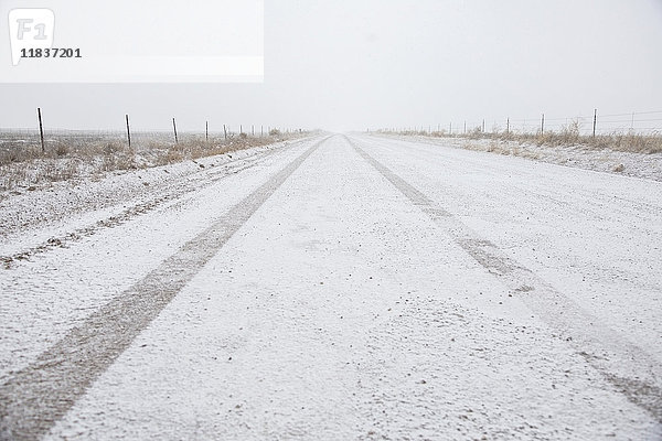 USA  Colorado  Leere  schneebedeckte Straße