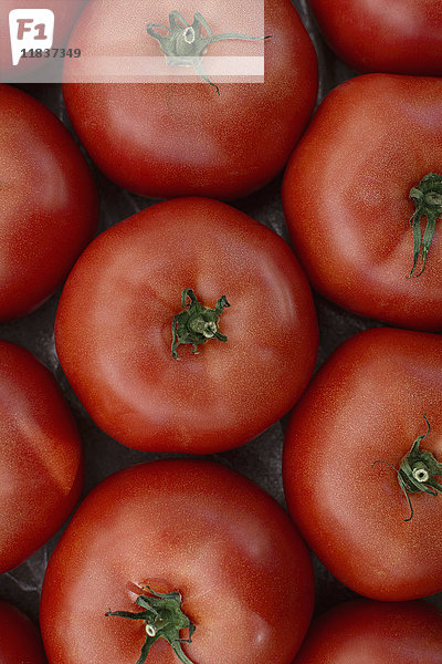 Rote Tomaten auf dem Markt