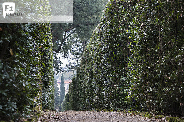 Italien  Toskana  Florenz  Fußweg in den Boboli-Gärten