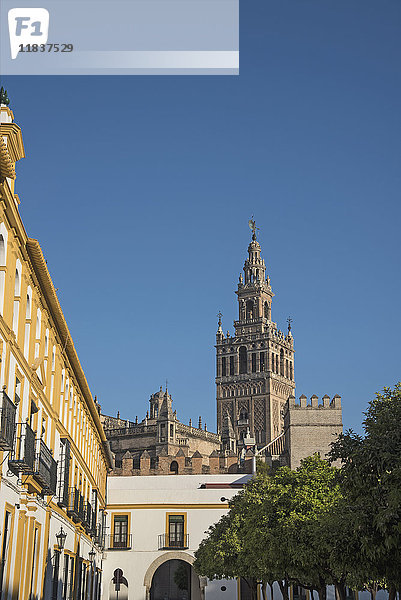 Spanien  Andalusien  Sevilla  Glockenturm La Giralda der Kathedrale von Sevilla