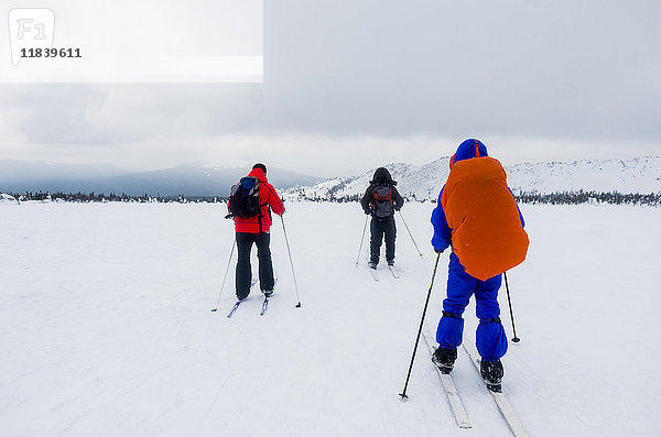 Kaukasische Menschen beim Skilanglauf im Feld