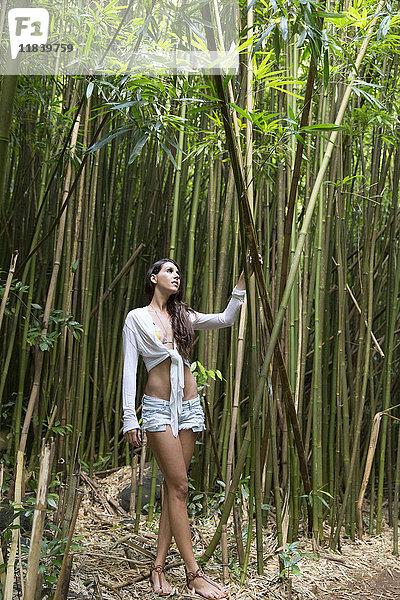 Kaukasische Frau im Bambuswald stehend